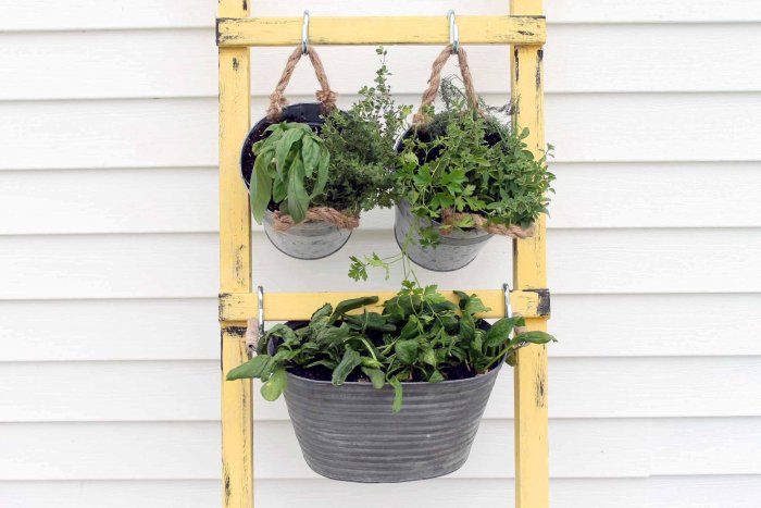 Add your favorite vegetables to your containers. (Photo courtesy of Angie Holden/The Country Chic Cottage)